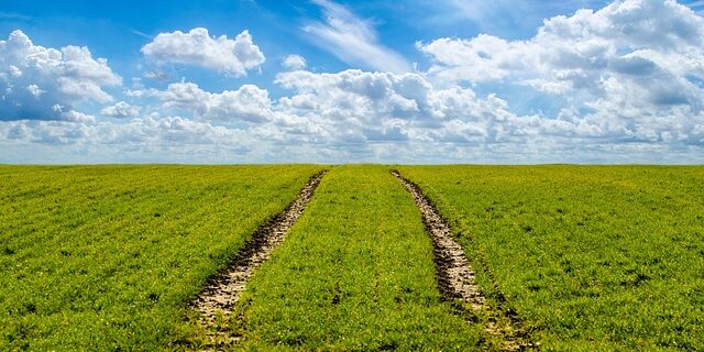 agriculture