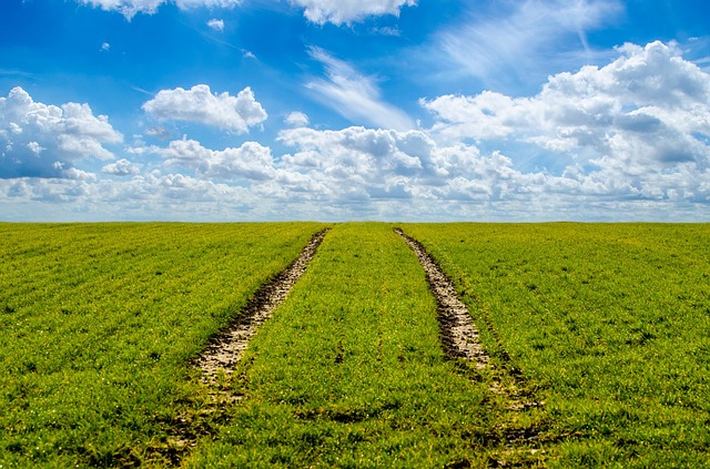 agriculture