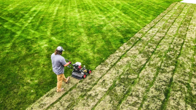 Bobcat DT18 Dethatcher