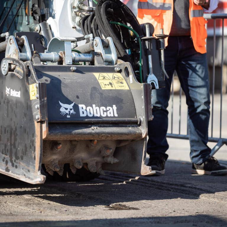 Bobcat