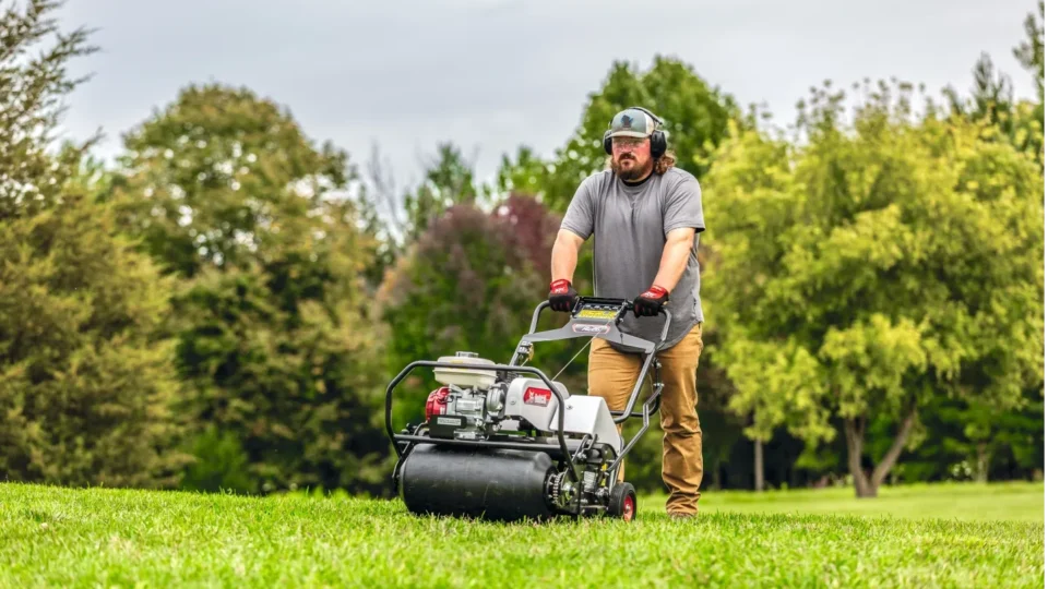 Bobcat turf online